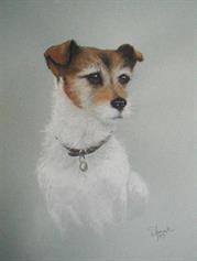 Patricia Spink - Millie